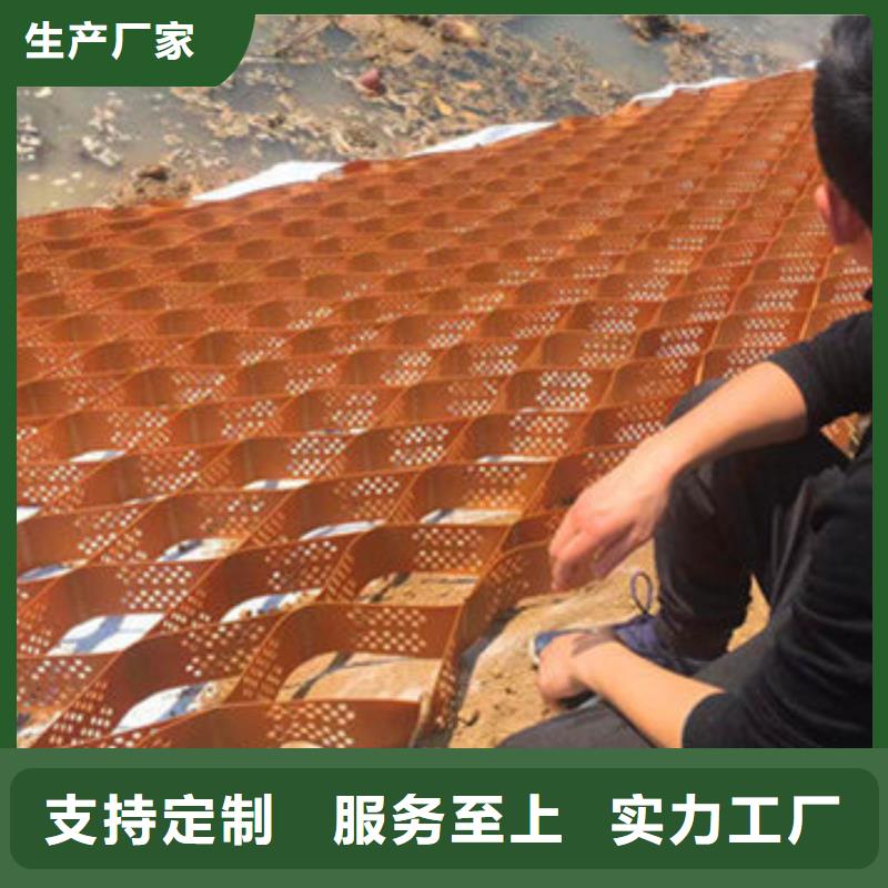 蜂巢格室涤纶格栅放心购