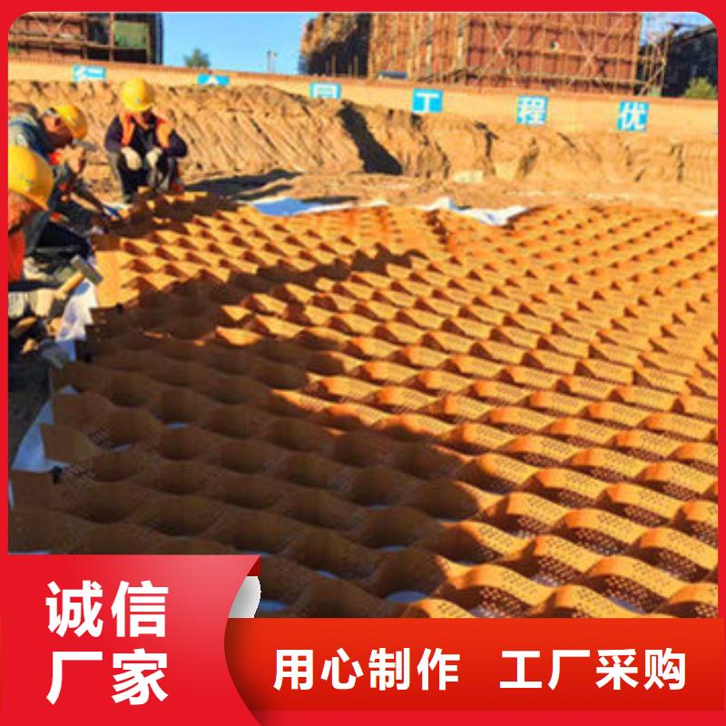蜂巢格室塑料土工格室专注细节专注品质