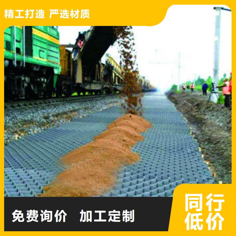 蜂巢格室三维植被网专注质量