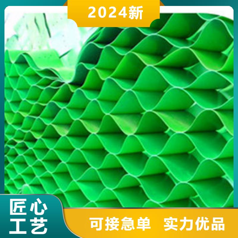 蜂巢格室塑料土工格室来图定制量大从优