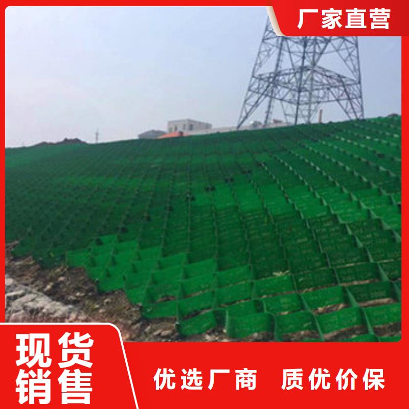 蜂巢格室蜂格网品质之选