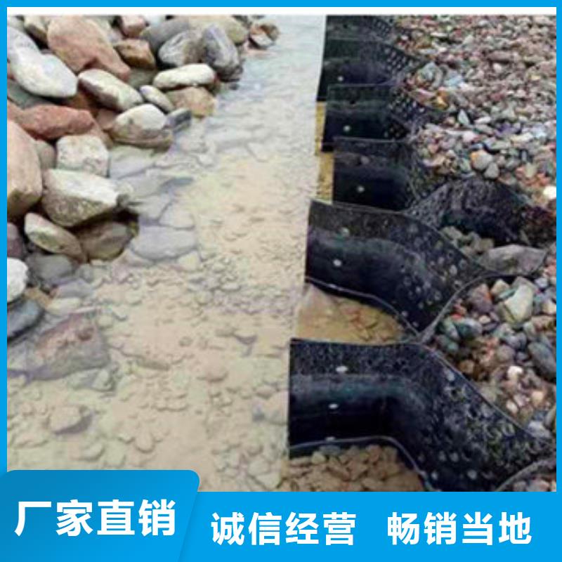 蜂巢格室生态带工厂直销