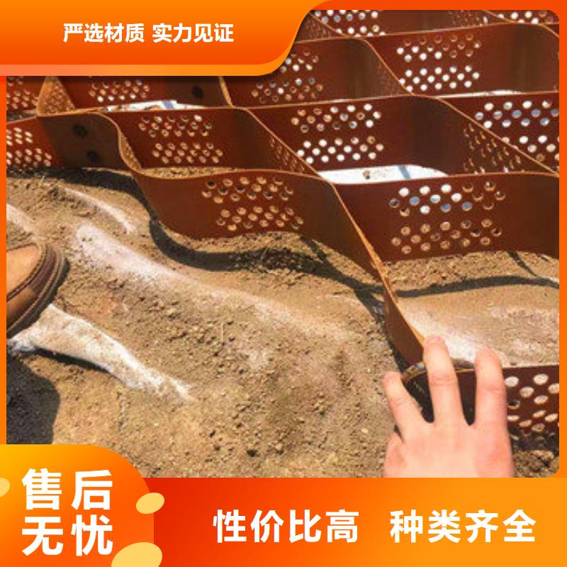 塑料土工格室-视频-福建省泉州市恒丰塑料土工格室可服务区域金门|惠安|三明|福州|厦门|宁德等