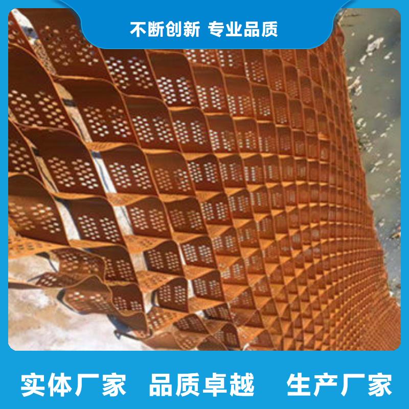蜂巢格室钢塑格栅现货齐全售后无忧