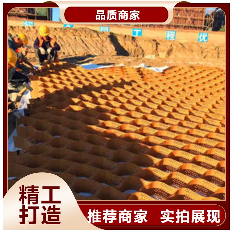 蜂巢格室土工格室经销商