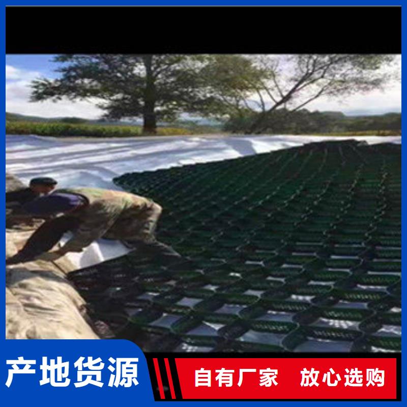 土工格室厂商