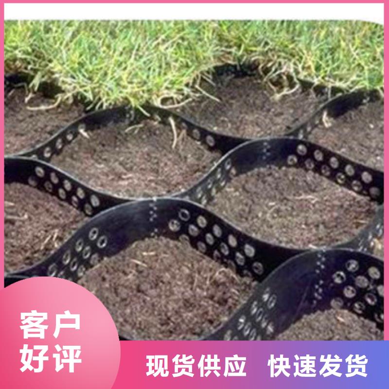  蜂巢格室实体厂家