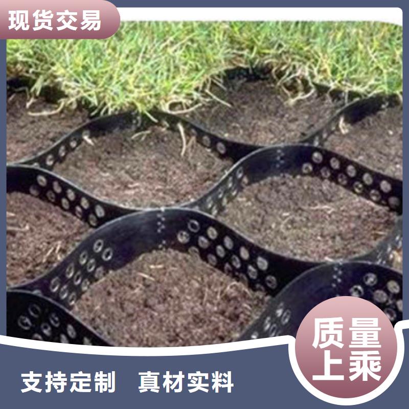 蜂巢格室土工格室满足多种行业需求