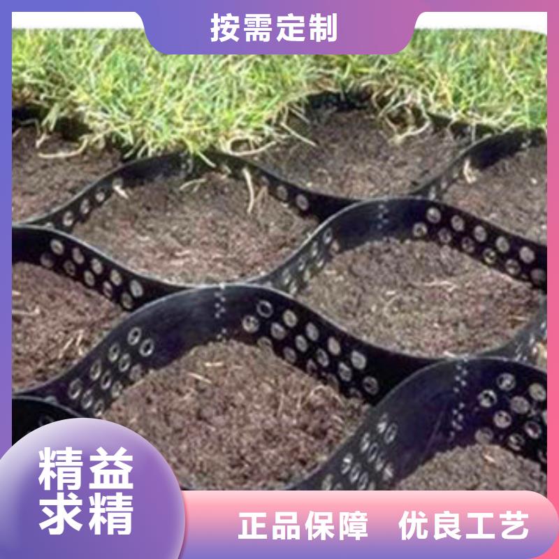 蜂巢格室-塑料格栅质量看得见