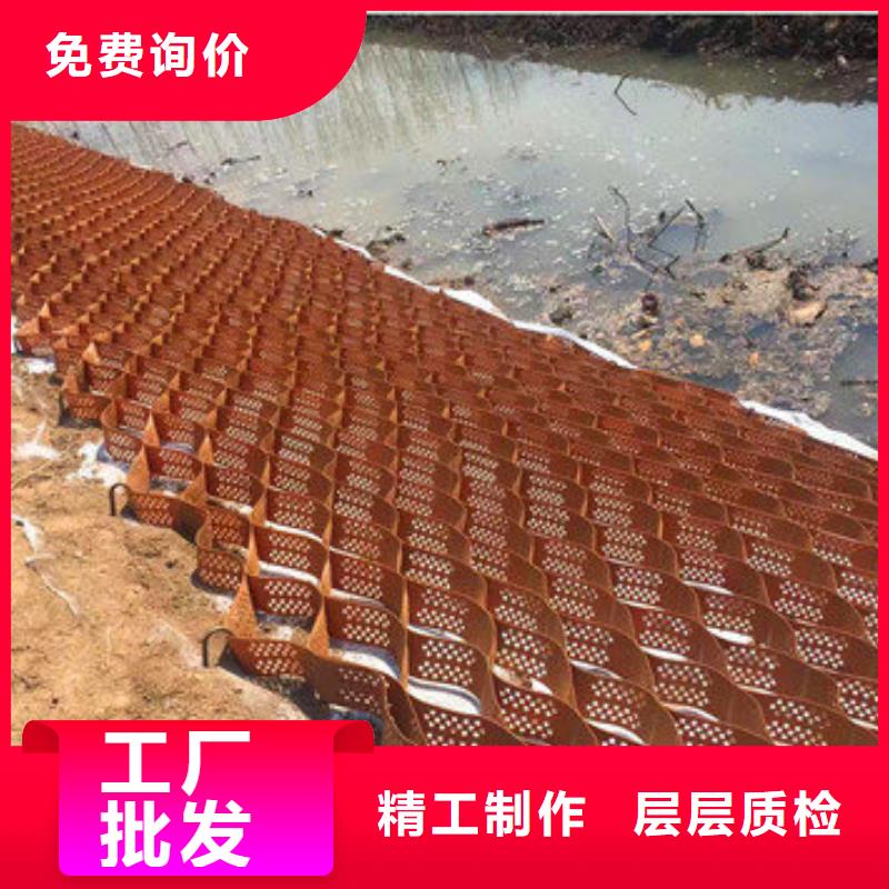 蜂巢格室塑料玻纤格栅专业生产制造厂