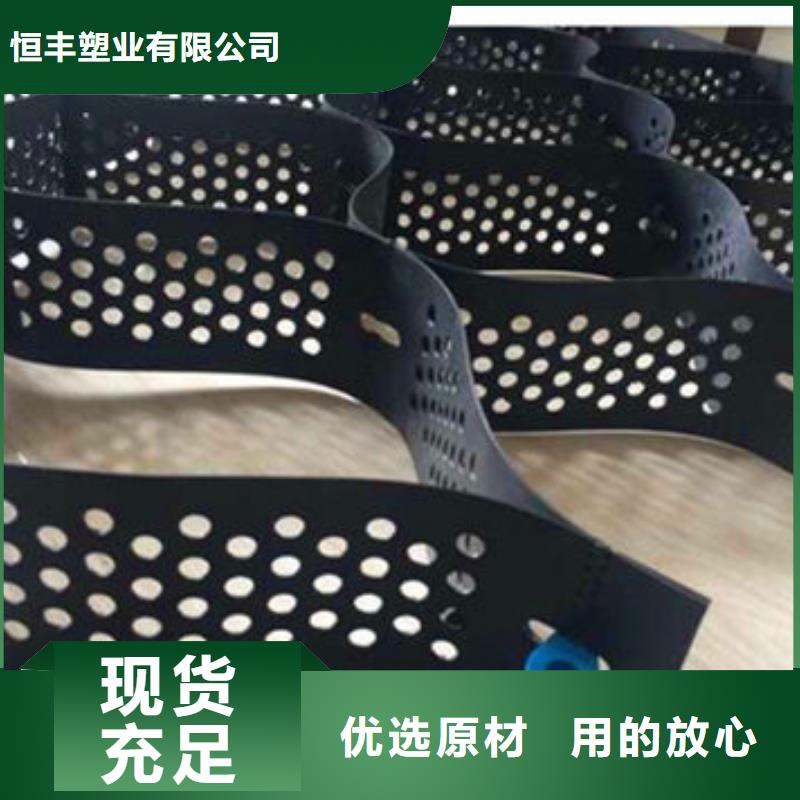 蜂巢格室土工格栅源头厂家直销