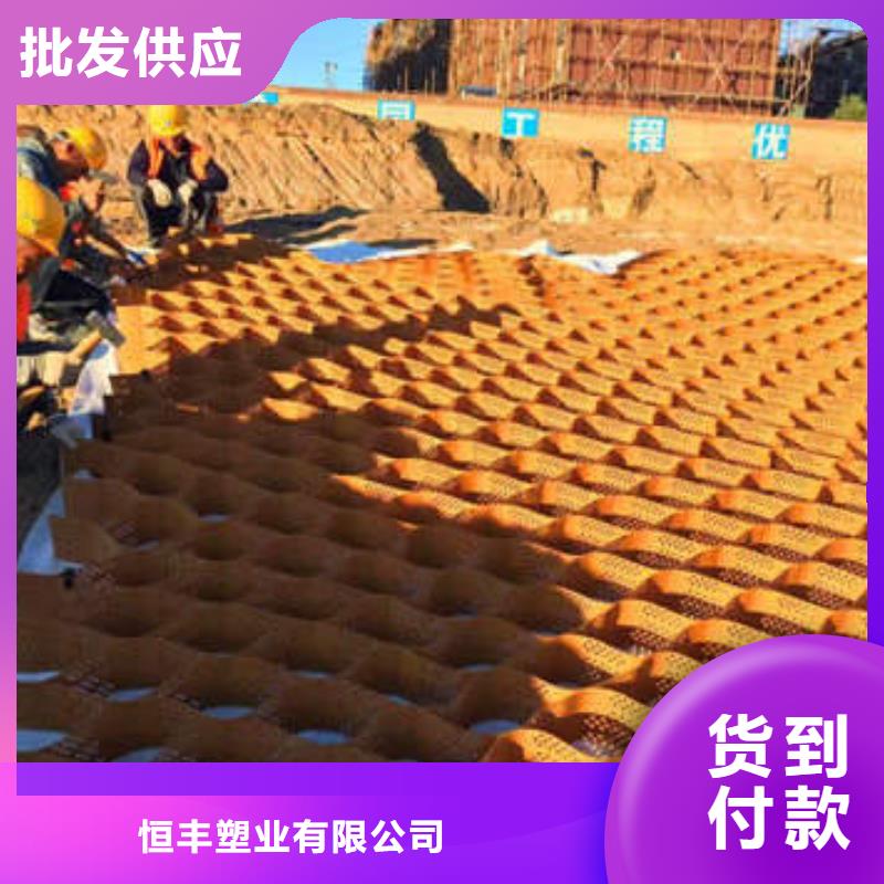 蜂巢格室钢塑格栅专注质量