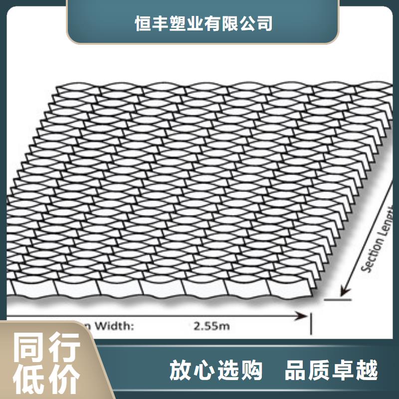 蜂巢格室土工格栅源头厂家直销