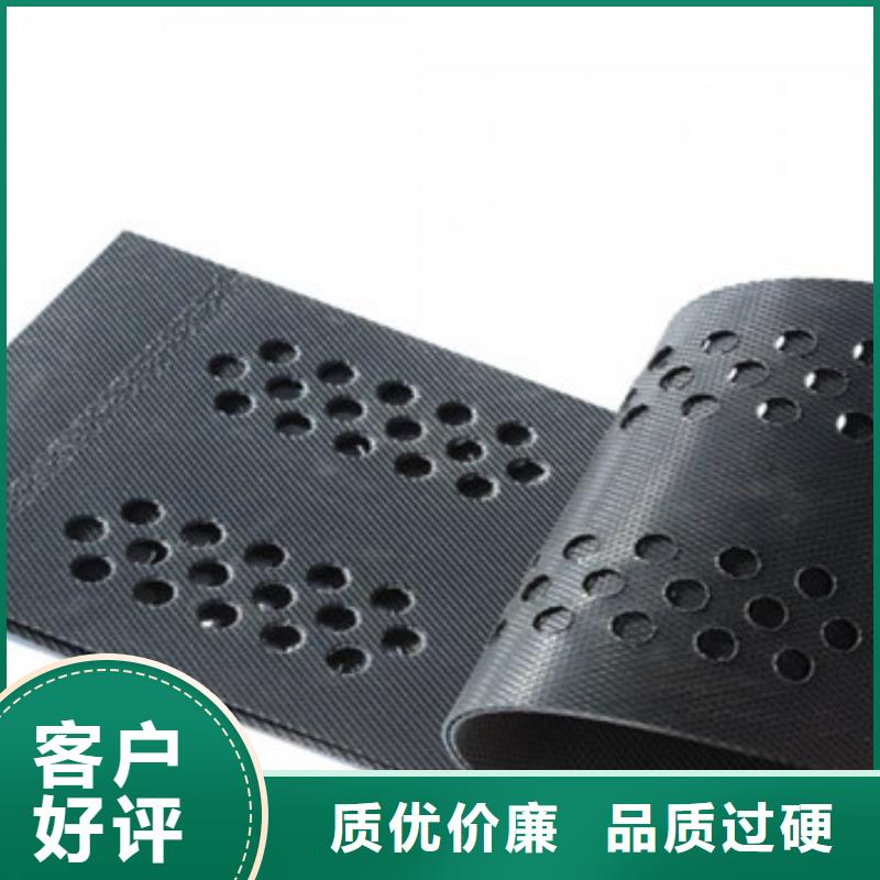 蜂巢格室塑料土工格室专注细节专注品质