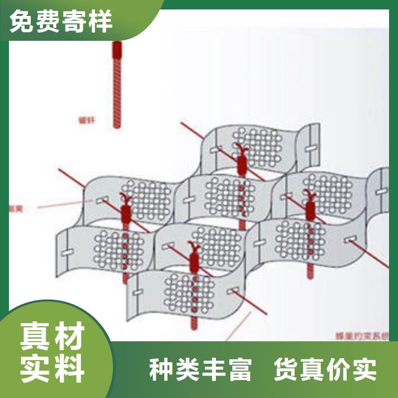 蜂巢格室土工格栅厂家定制