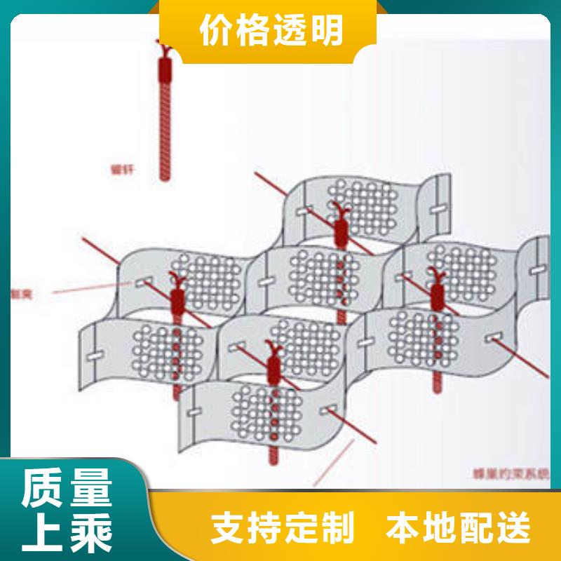 蜂巢格室塑料土工格室源头厂商