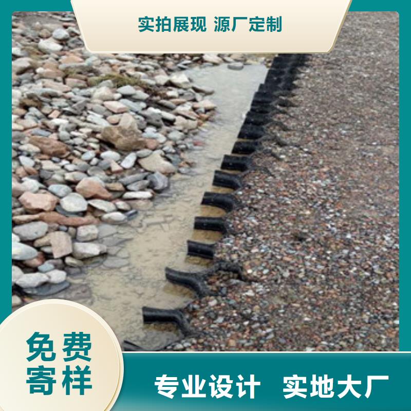 蜂巢格室 六边形格室N年生产经验
