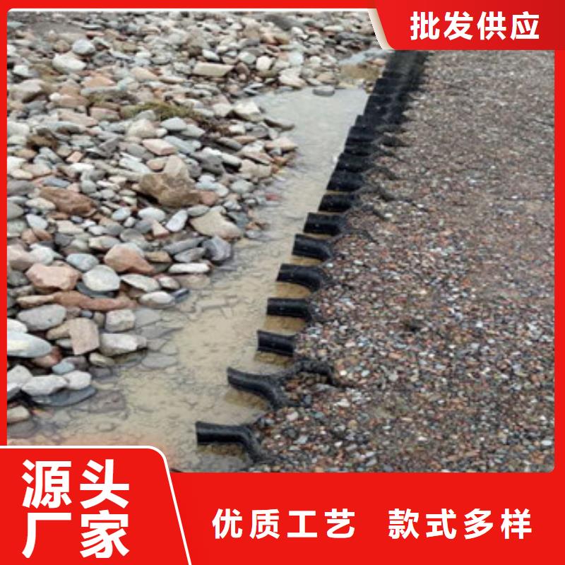 蜂巢格室 拉筋带当日价格