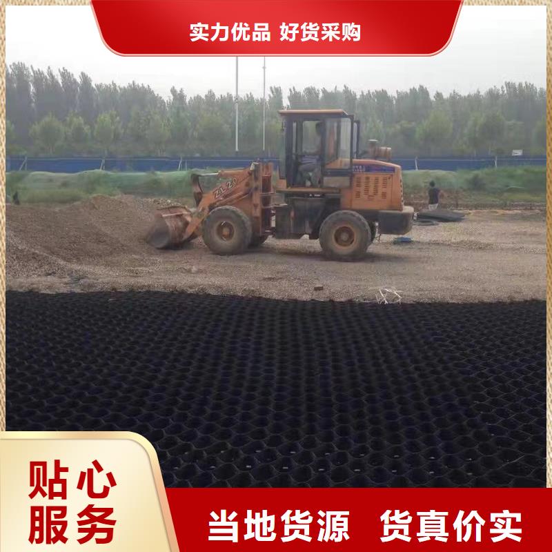 蜂巢格室 双向土工格栅源头工厂量大优惠