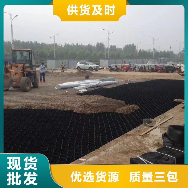 蜂巢格室钢塑格栅现货齐全售后无忧