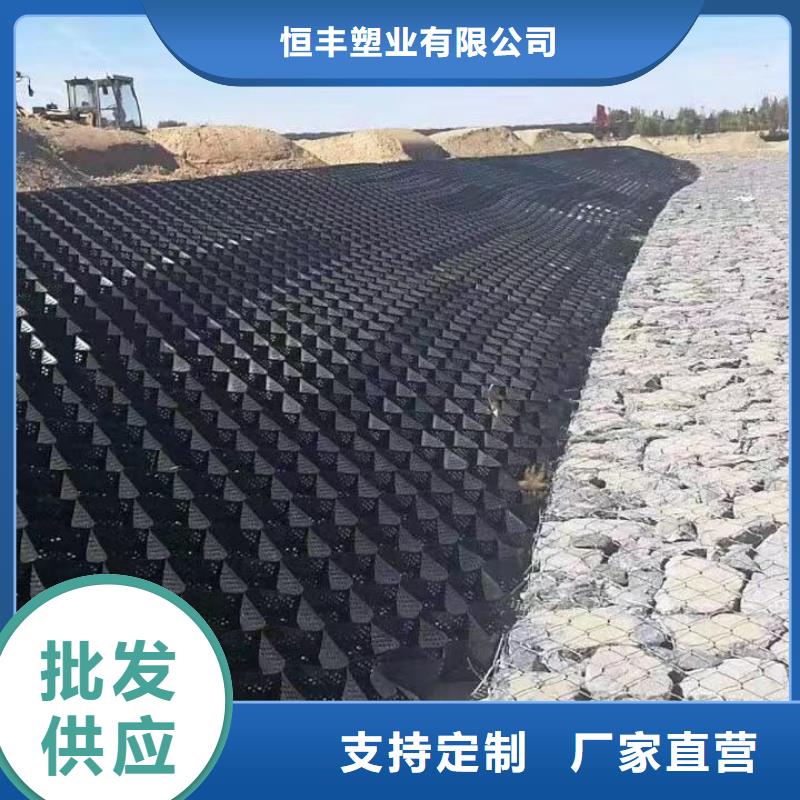 蜂巢格室,双向塑料土工格栅把实惠留给您