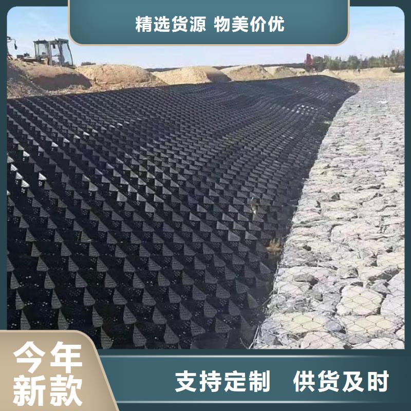 蜂巢格室塑料土工格室源头厂商