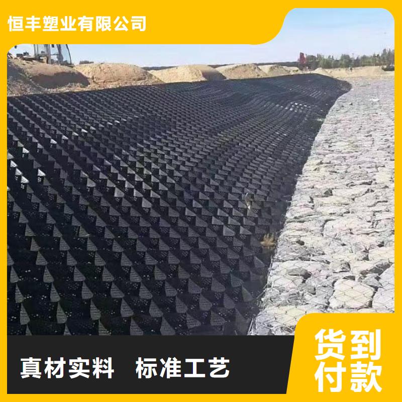 蜂巢格室车库顶板排水板为您提供一站式采购服务