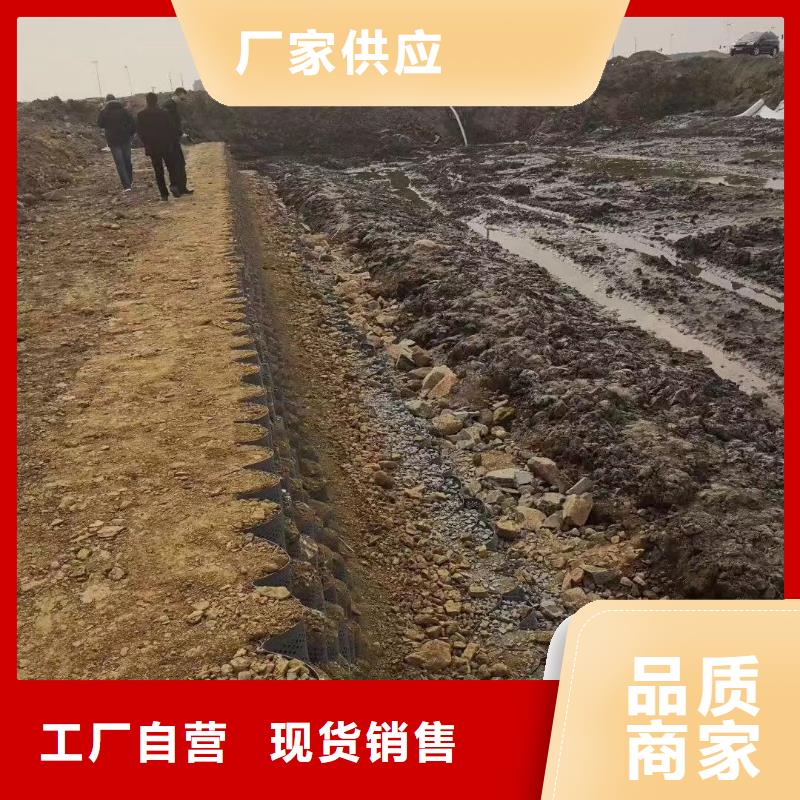 蜂巢格室钢塑格栅现货齐全售后无忧