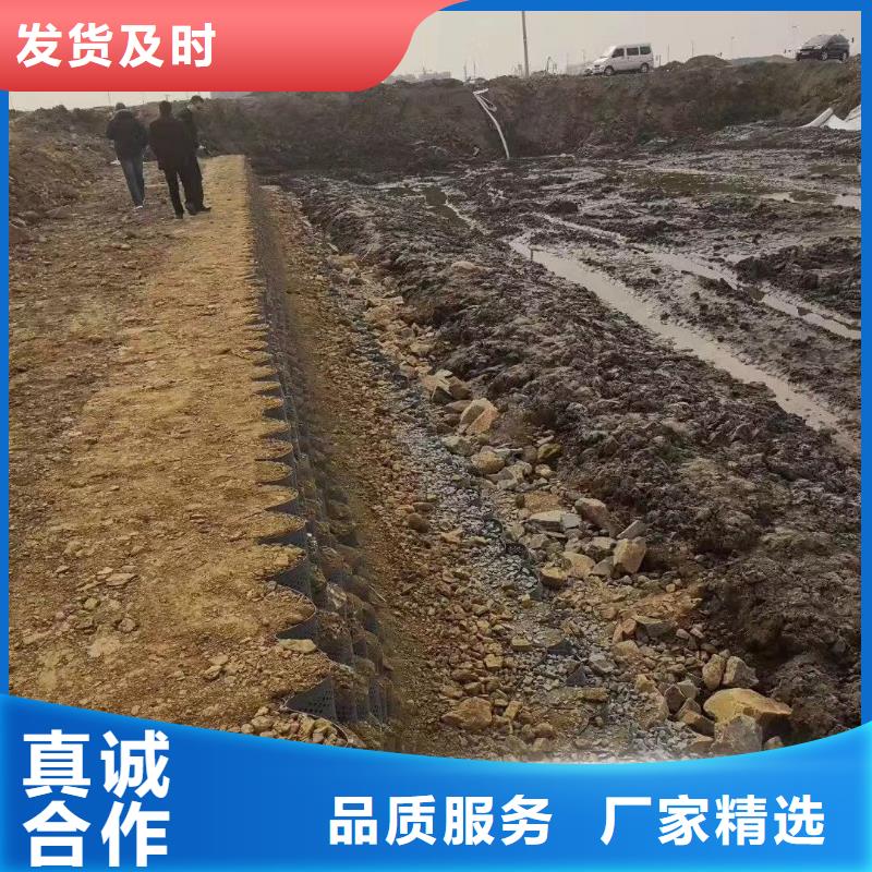 蜂巢格室土工网用心服务