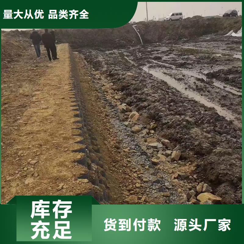 蜂巢格室,双向塑料土工格栅把实惠留给您