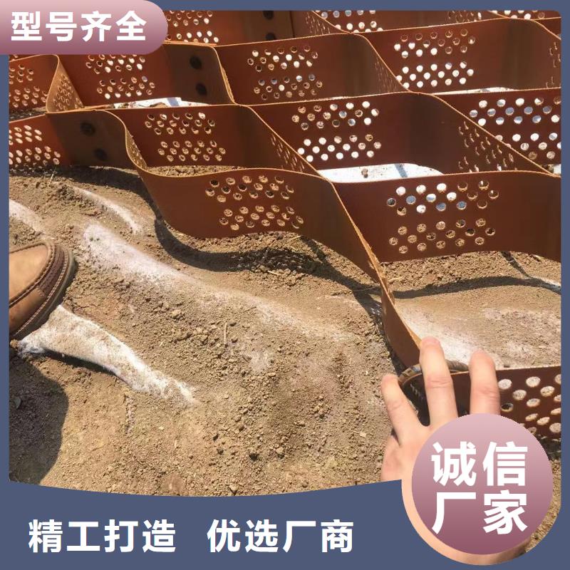 蜂巢格室蜂格网精心