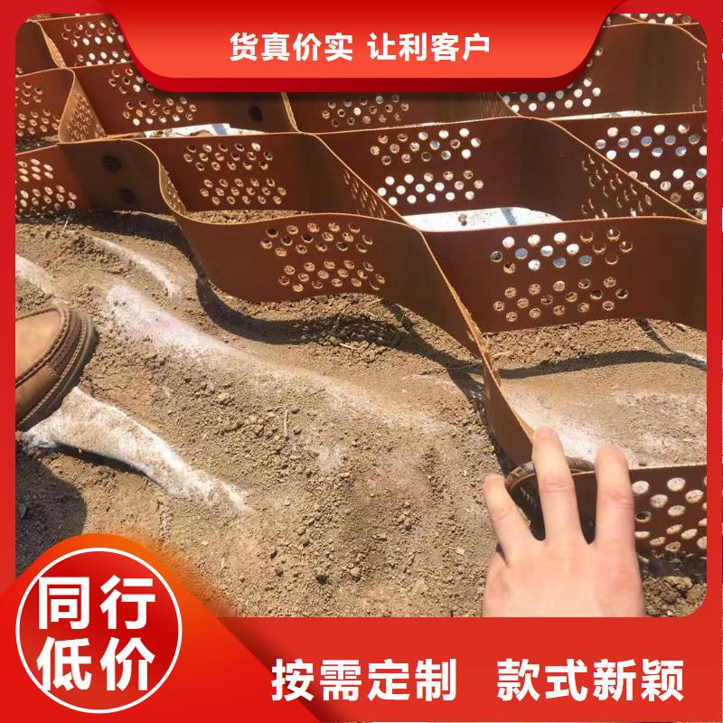蜂巢格室,玻纤格栅款式新颖