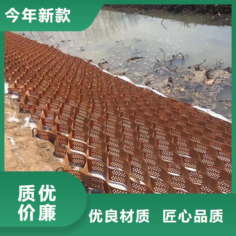 蜂巢格室 六边形格室高标准高品质