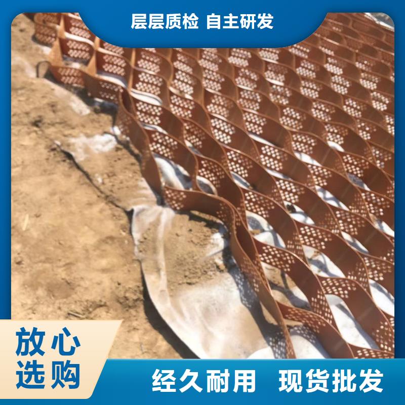 蜂巢格室三维植被网专注质量