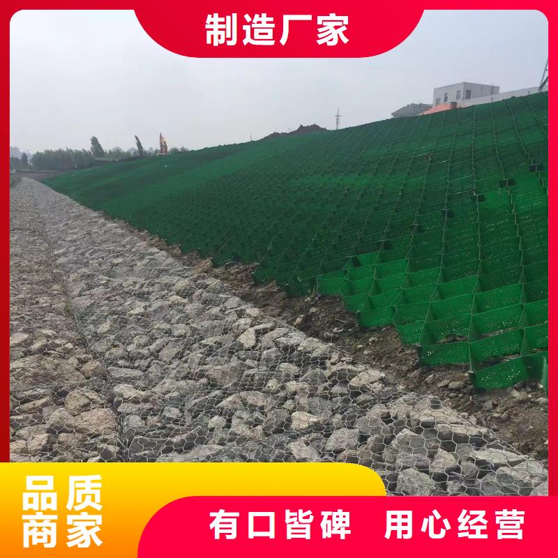 蜂巢格室塑料玻纤格栅专业生产制造厂