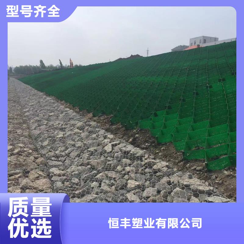 蜂巢格室 六边形格室高标准高品质