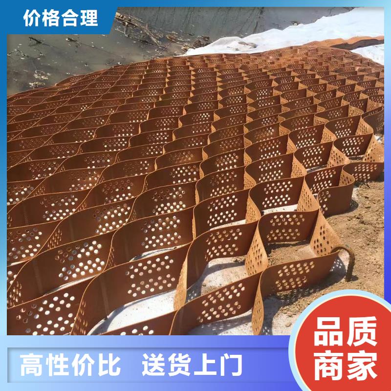 蜂巢格室塑料土工格室来图定制量大从优