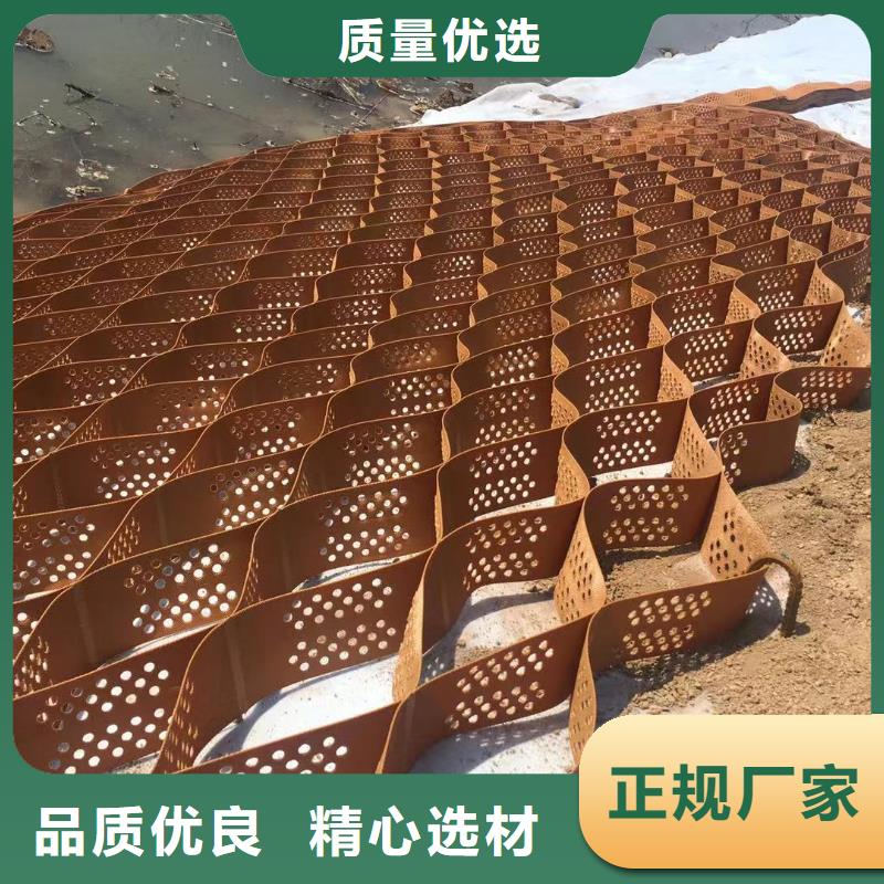 蜂巢格室三维植被网专注质量