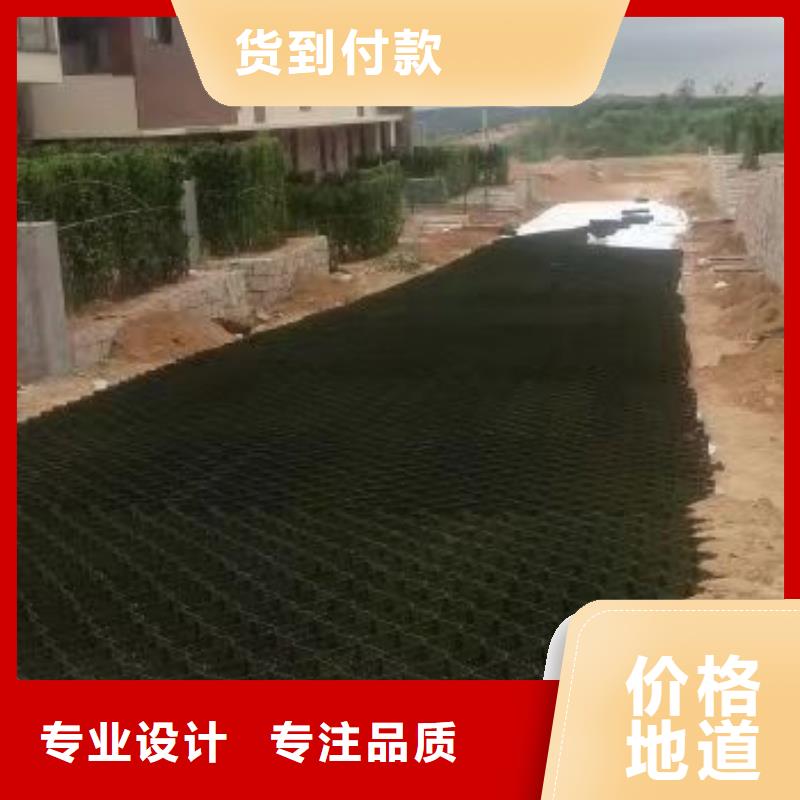 蜂巢格室塑料土工格室来图定制量大从优