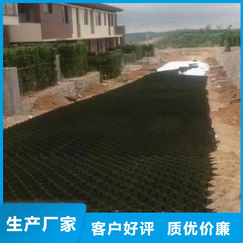 蜂巢格室 止水条当日价格