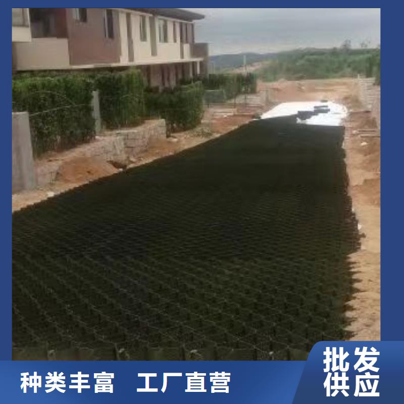 蜂巢格室,双向塑料土工格栅把实惠留给您