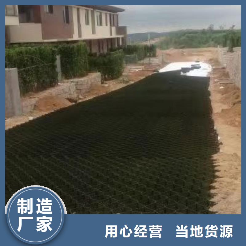 蜂巢格室三维植被网专注质量