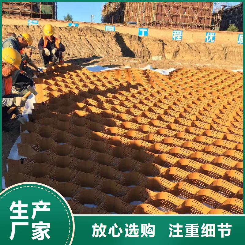 蜂巢格室 六边形格室高标准高品质