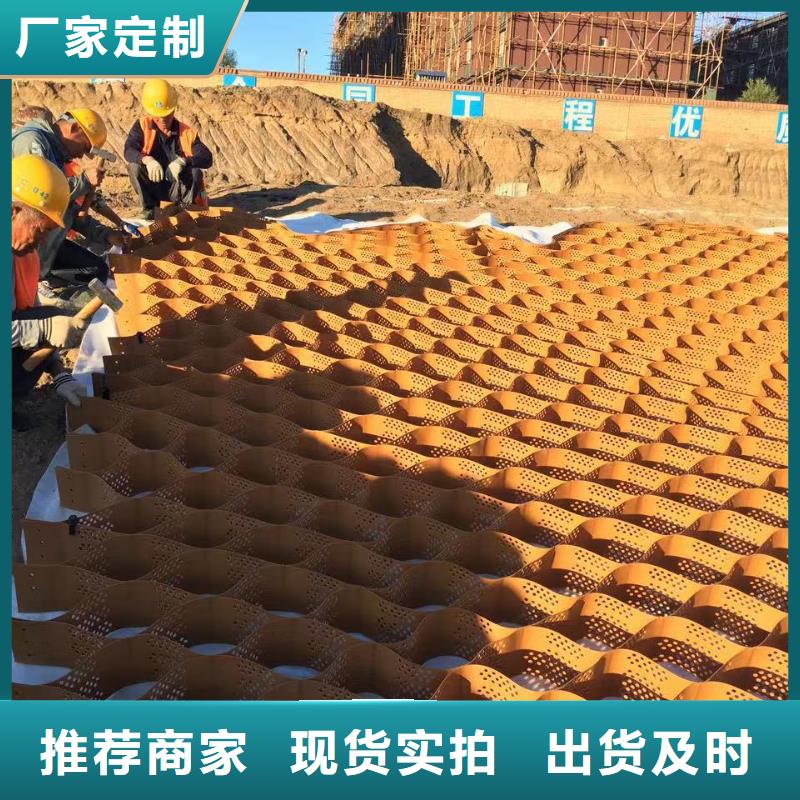 蜂巢格室塑料土工格室来图定制量大从优