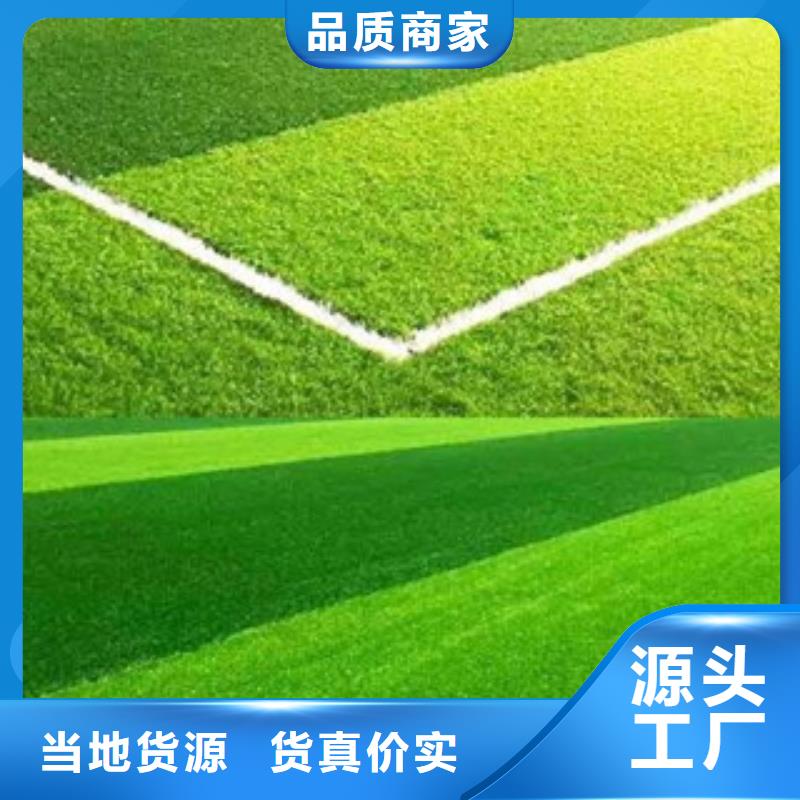 室外健身器材-视频-云南省丽江市昌冠室外健身器材可服务区域永胜|华坪|普洱|昆明|文山|怒江等