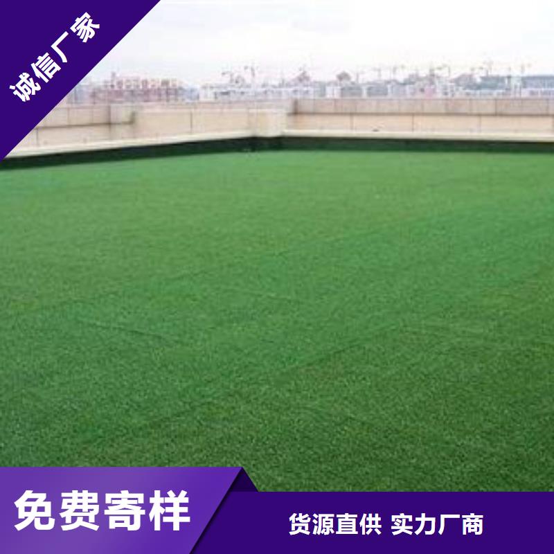 人造草坪篮球架厂家大量现货
