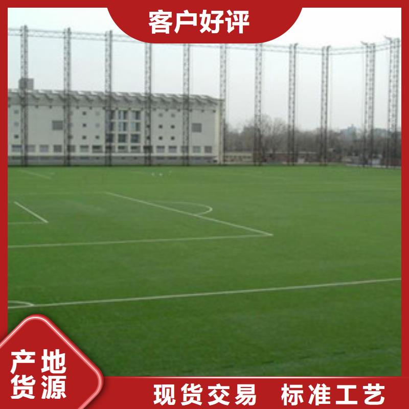 人造草坪-室外健身器材用心细节