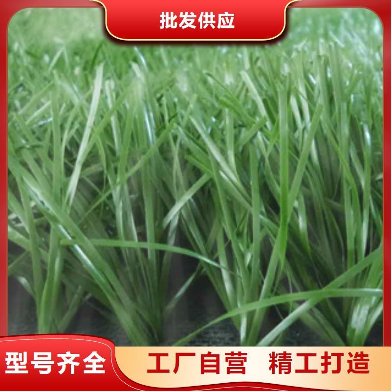人造草坪体育器材源头厂家