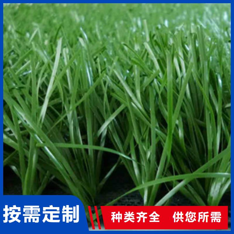人造草坪悬浮地板质检严格