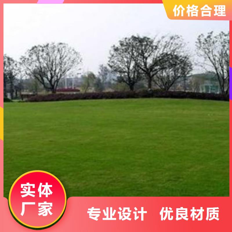 人造草坪-塑胶跑道源头厂家供应